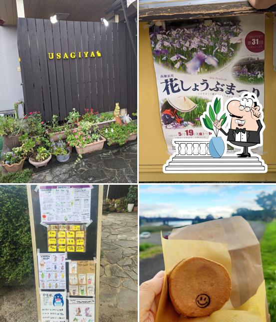 USAGIYA