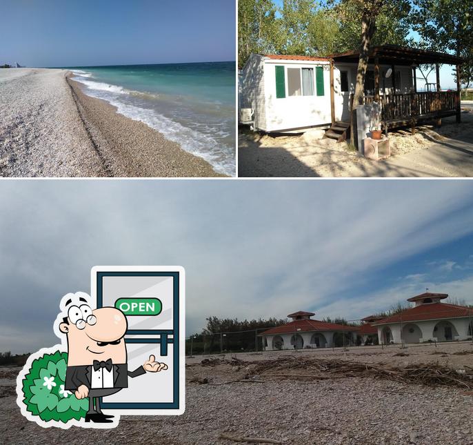 Camping Cesano