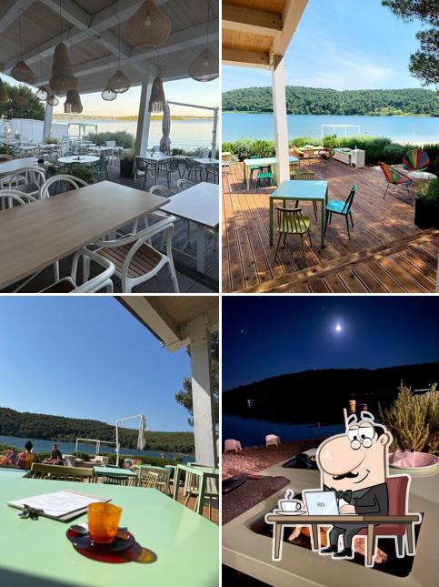 Beach Bar Green