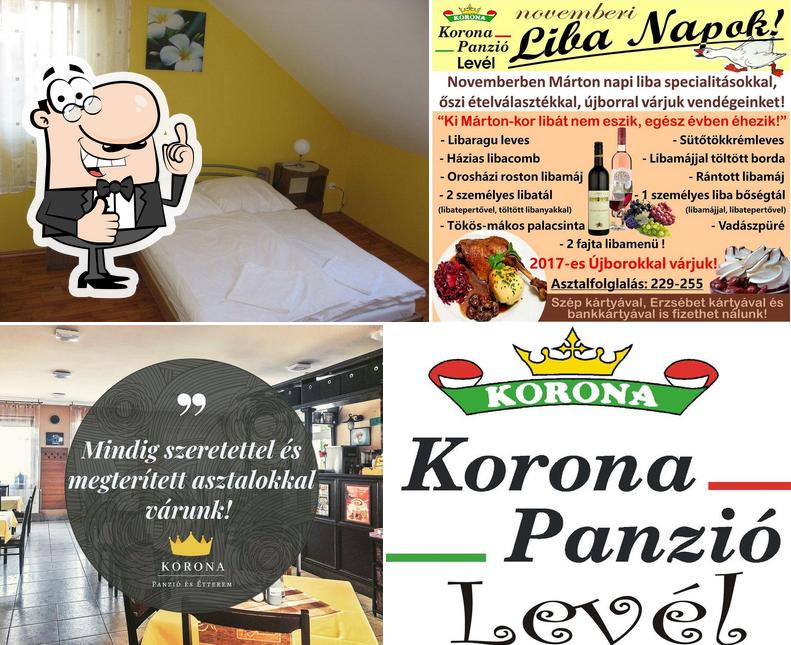 Korona Panzio