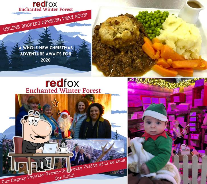 Redfox Coffee House