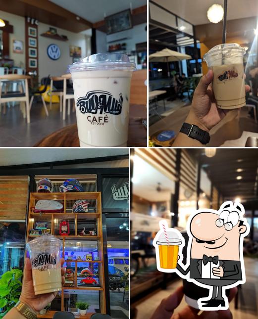 Bug & Mug Cafe