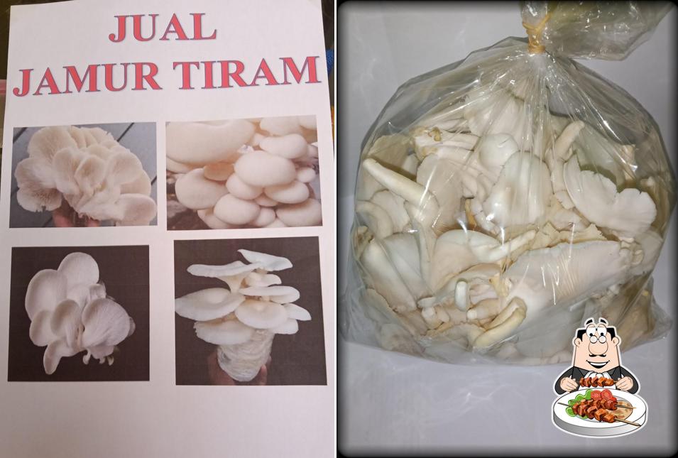 SMS JAMUR TIRAM