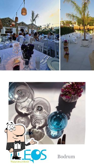 Eleos Bodrum