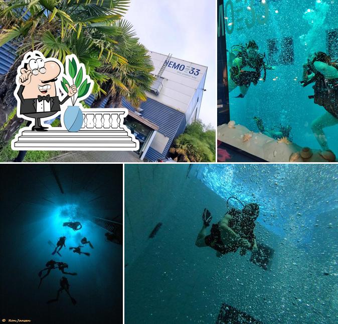 NEMO33 Brussels