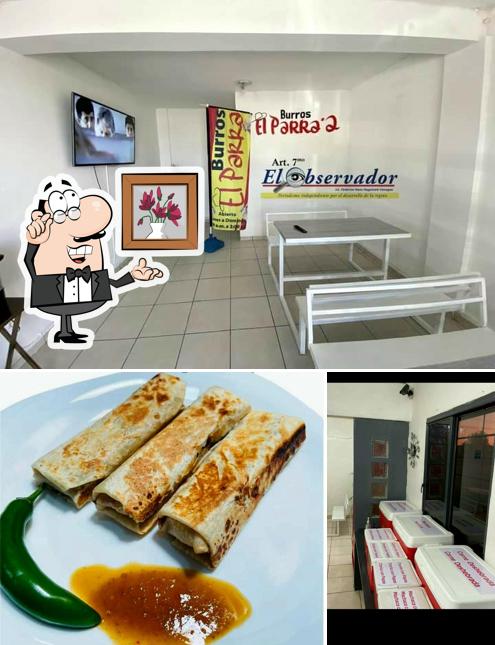 Burros El Parra 2