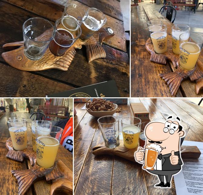 Trout River Brewing