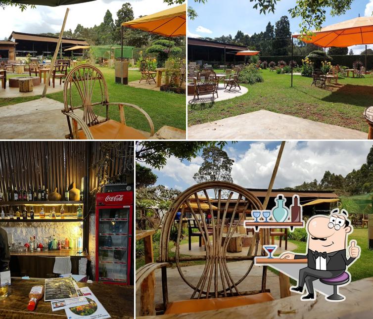 The Backyard (CLOSED)