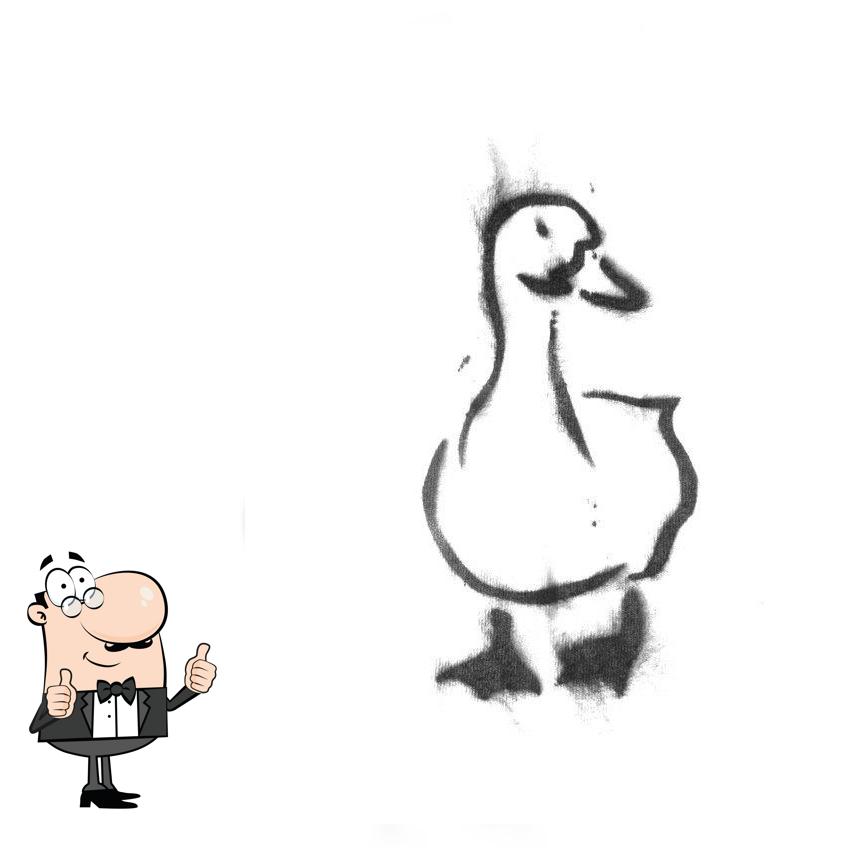 The White Duck