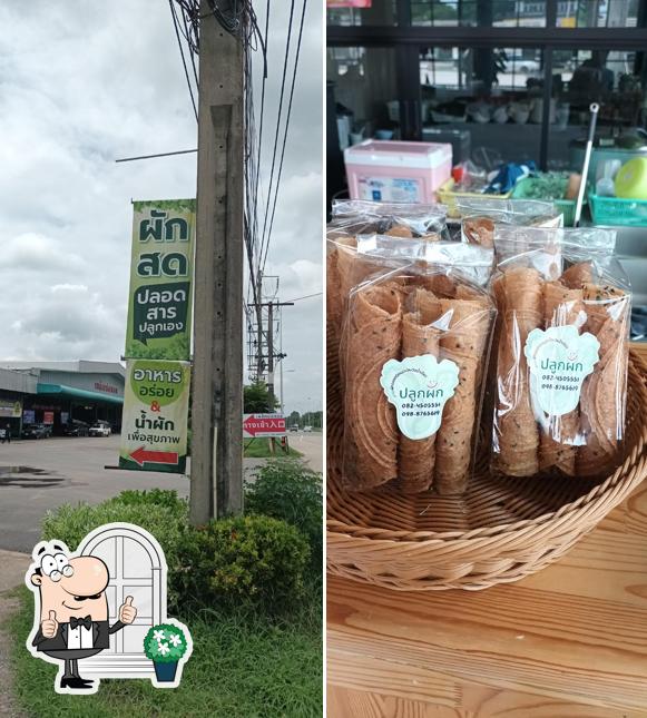 ร้านปลูกผัก