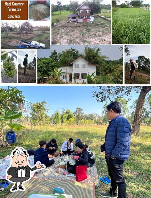 Napi Country Farmstay