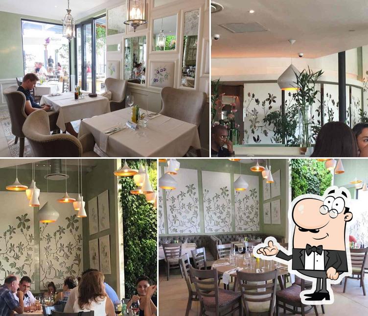 Café del Sol Botanico