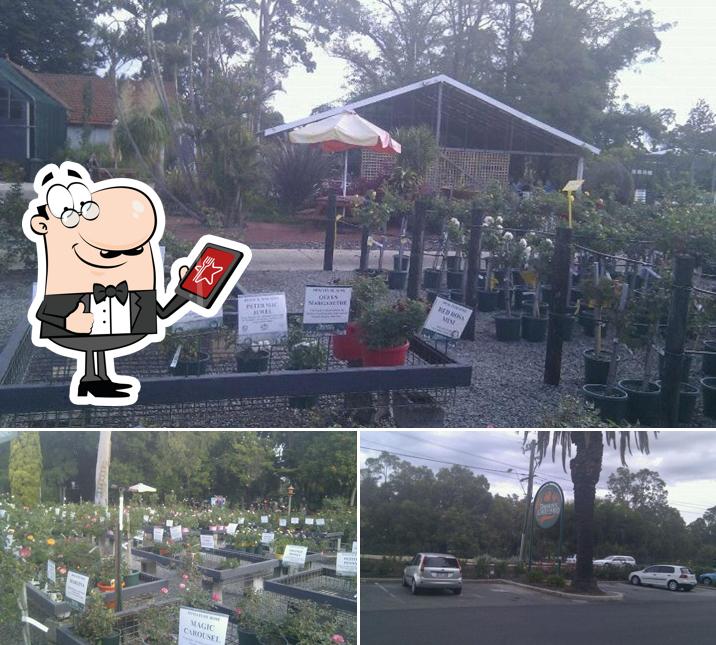 Dawsons Garden World