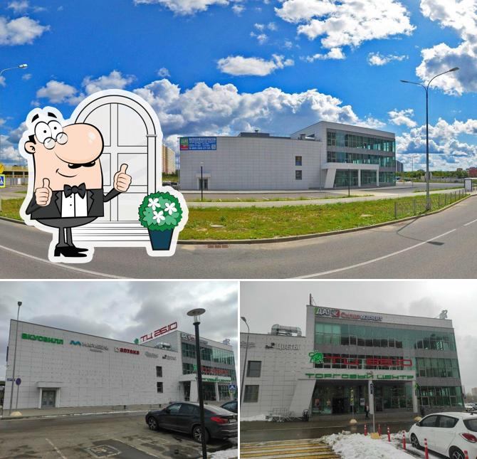 Клён