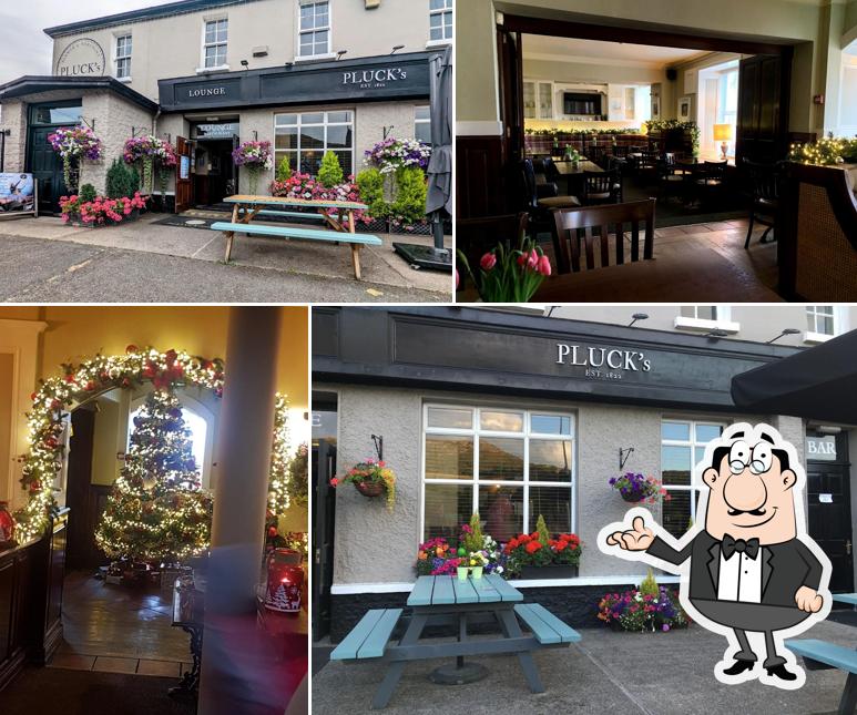 Pluck's Bar