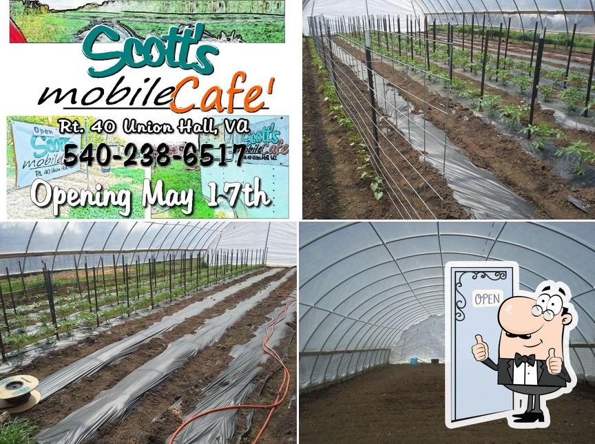 Scott's Mobile Cafe'