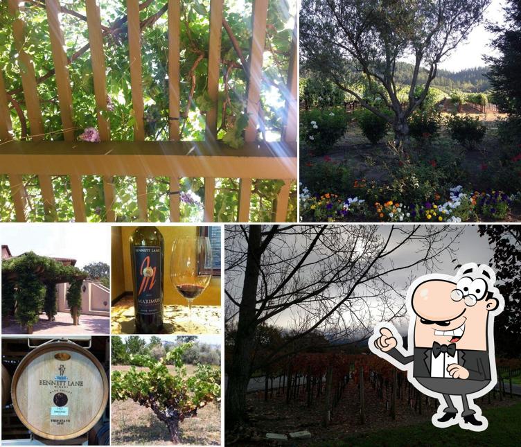 Bennett Lane Winery