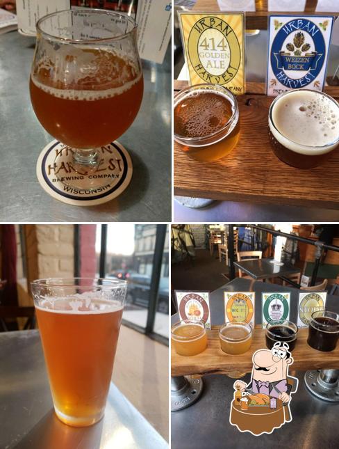 Urban Harvest Brewing Company