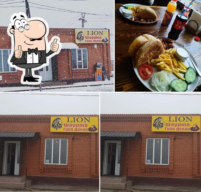 Lion
