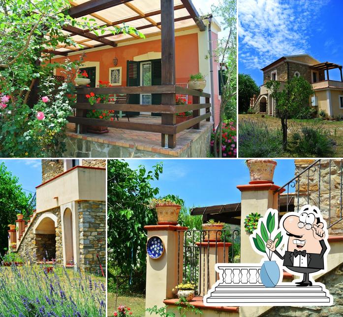 Country House Araba Phoenix