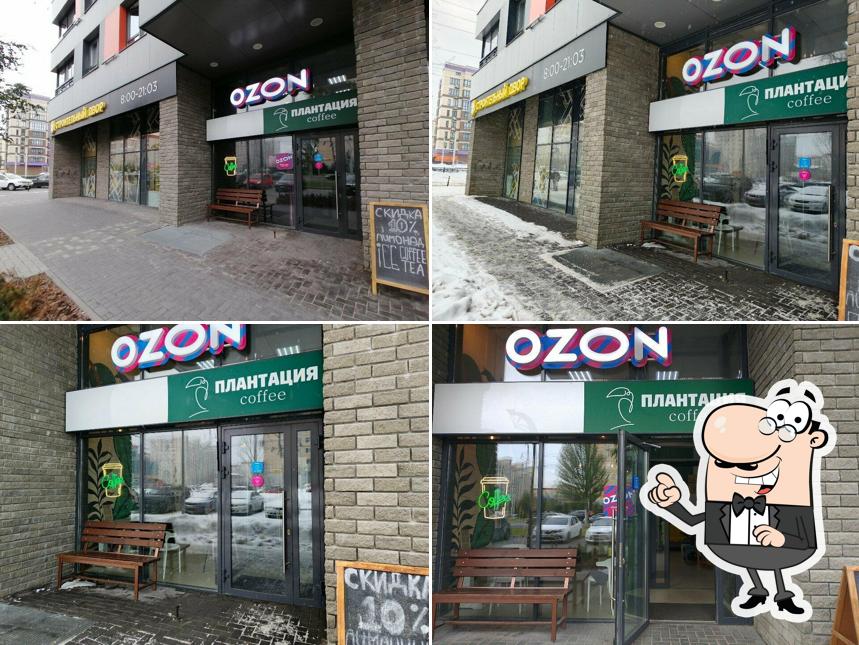 Плантация coffee