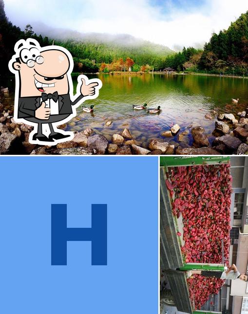 Halıcı Tarım
