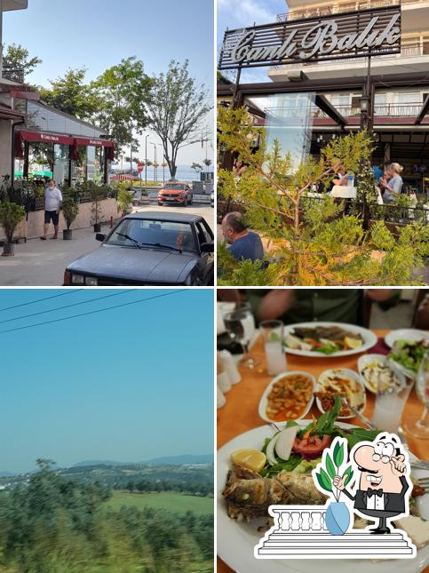 Canli balik restaurant
