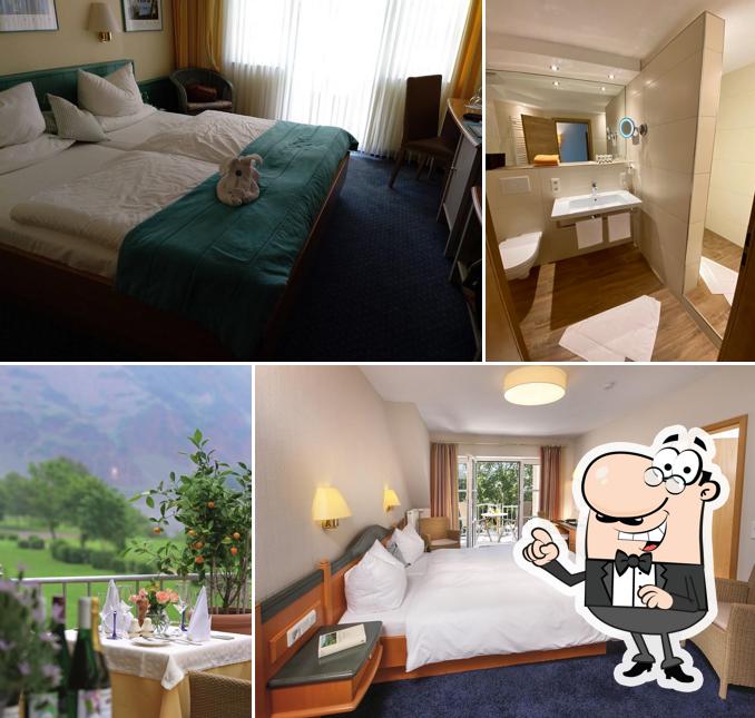 Zur Traube - Hotel & Restaurant
