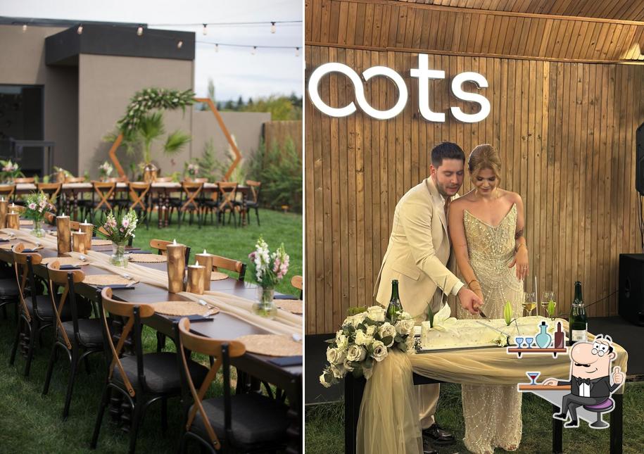 roots entertainment