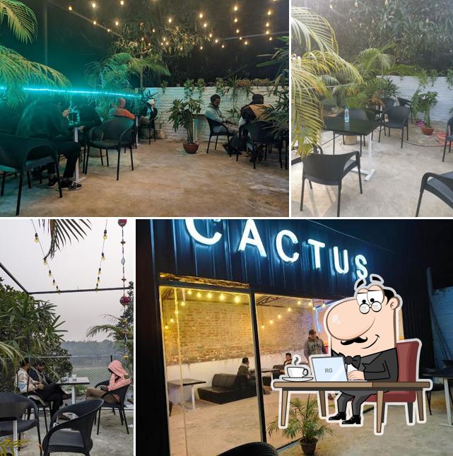 Cactus