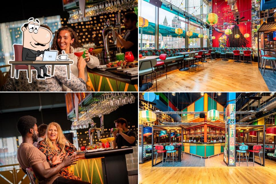 Turtle Bay Chester