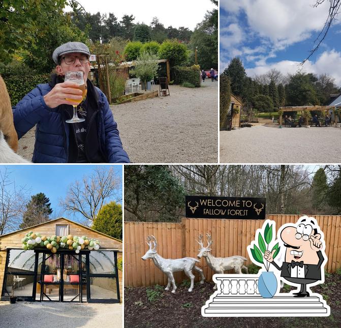 Fallow Forest Cafe & Venue