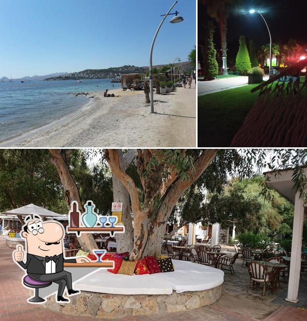 Bitez Beach Bar