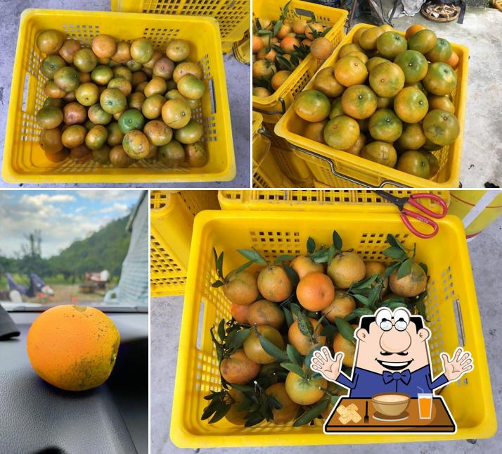 橘發香觀光果園