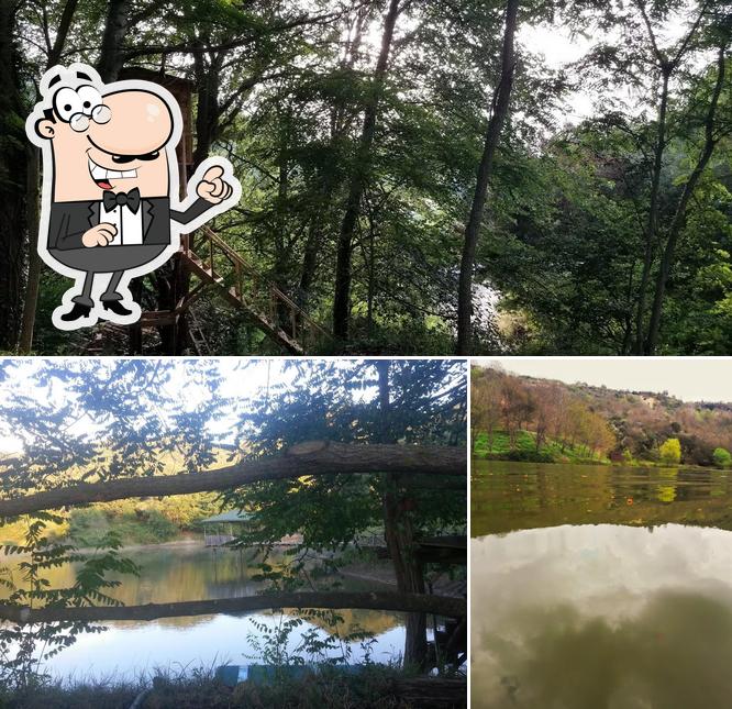 Ferma Bio Hajdar Kuci