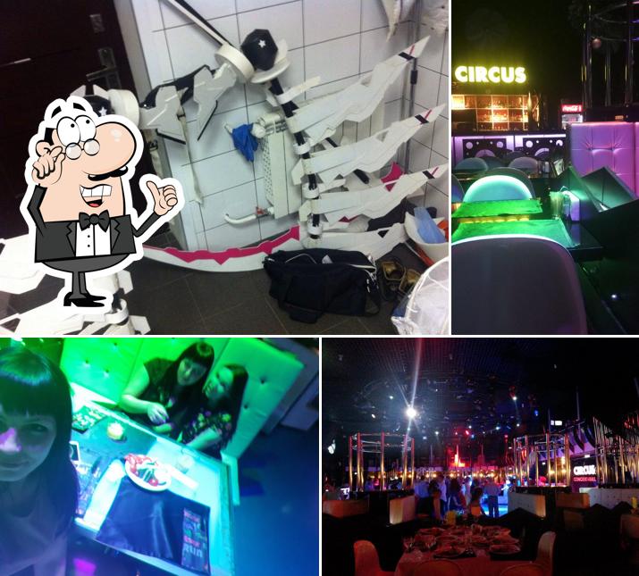 Circus