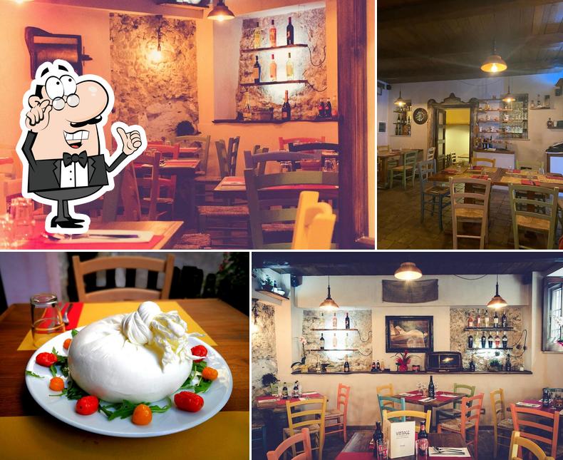 Vintage Paninari Gourmet