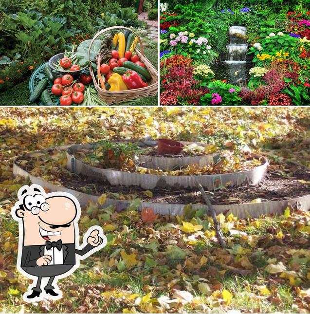 UP Master Gardeners