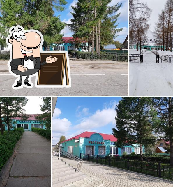Сияние севера