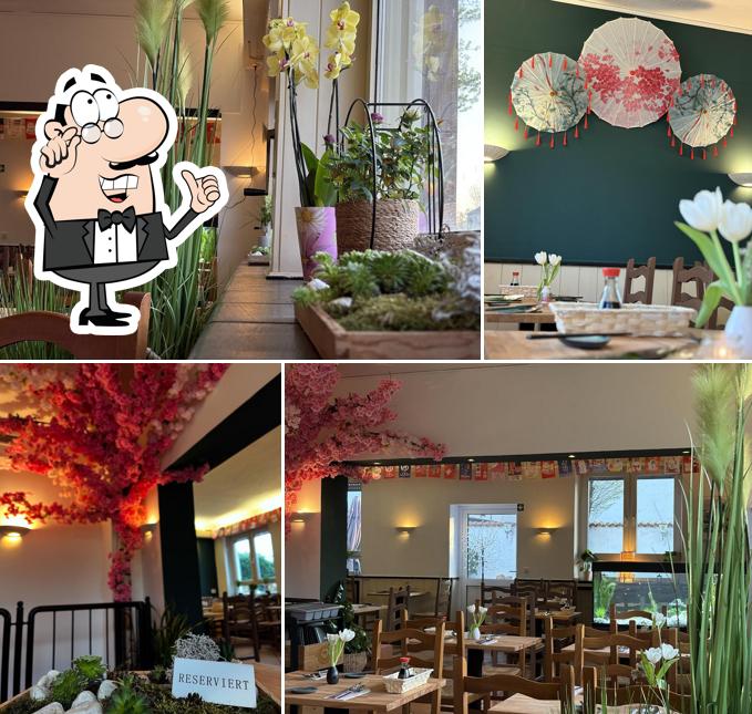 MizuMai
