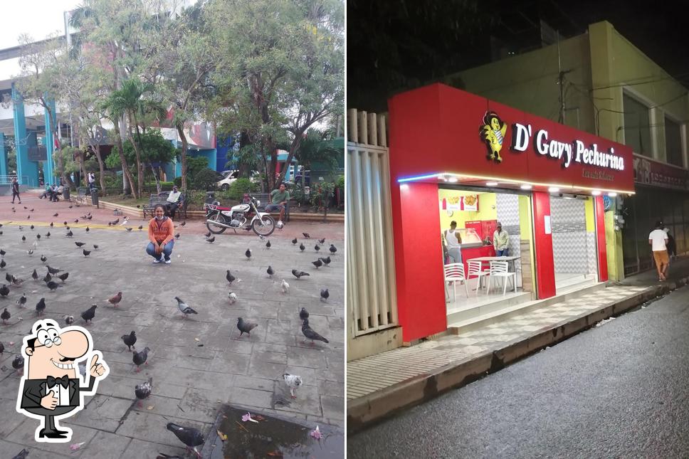 D Gavy Pechurinas'