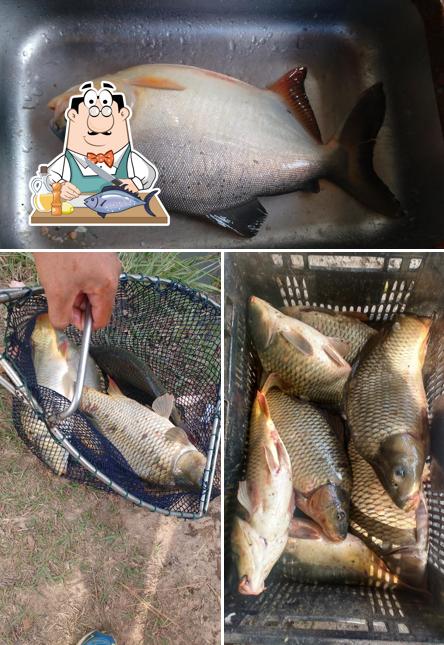 Pesqueiro Tres Lagoas