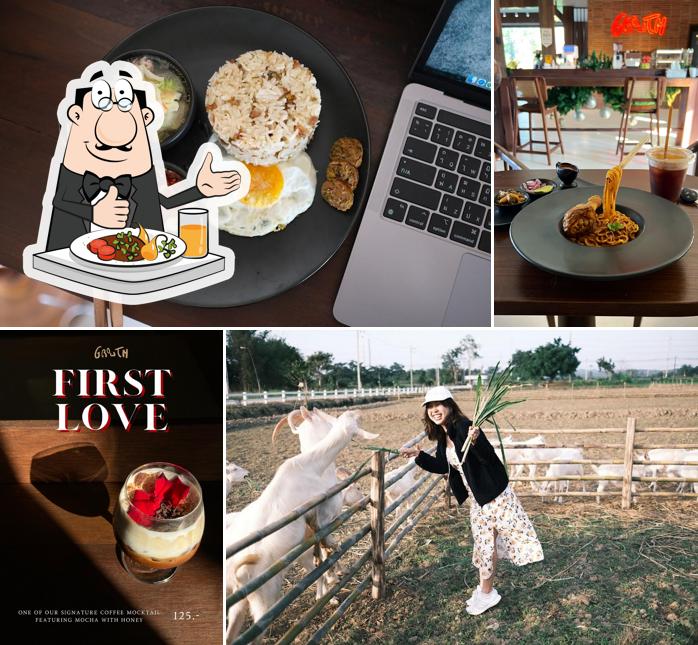 Growth : Farm and Bistro