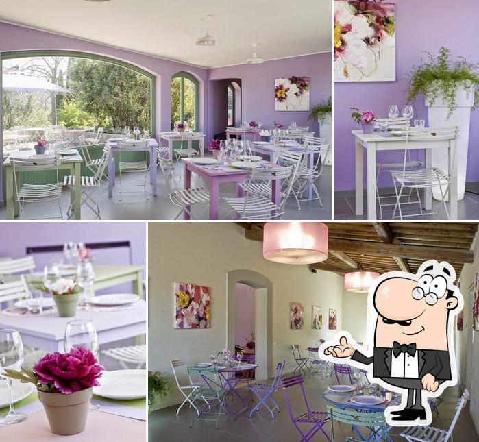 Garden Restaurant Colour Café