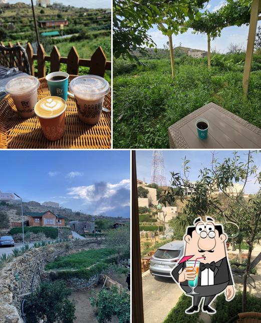 Almond orchards farm