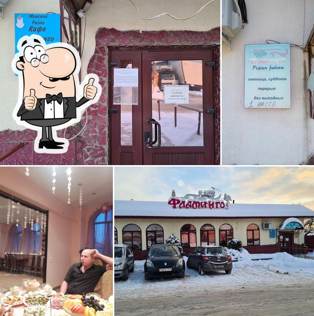 Фламинго