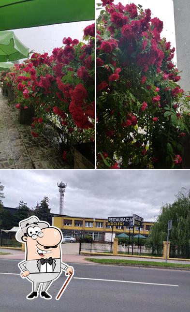 Bukacik