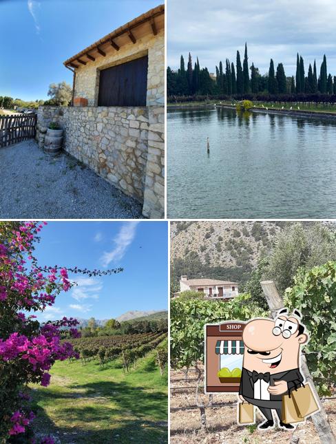 Bodegas Can Vidalet