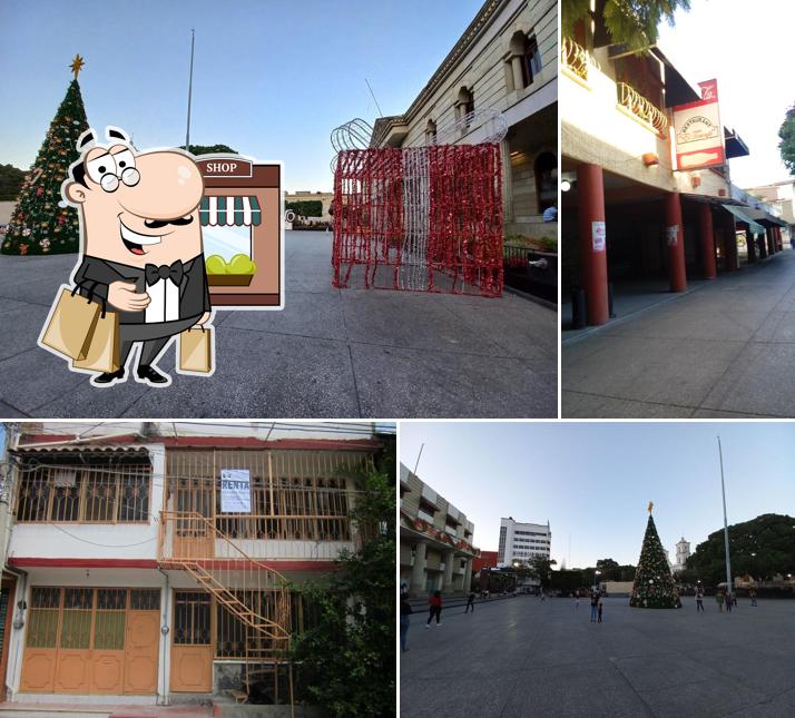 El Toronjil
