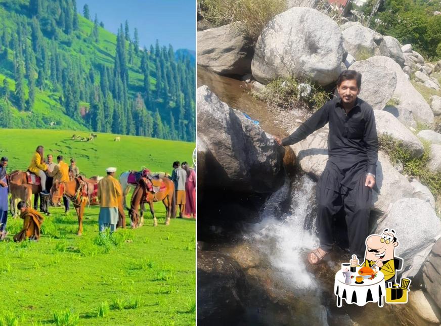 Trout fish point Naran vally